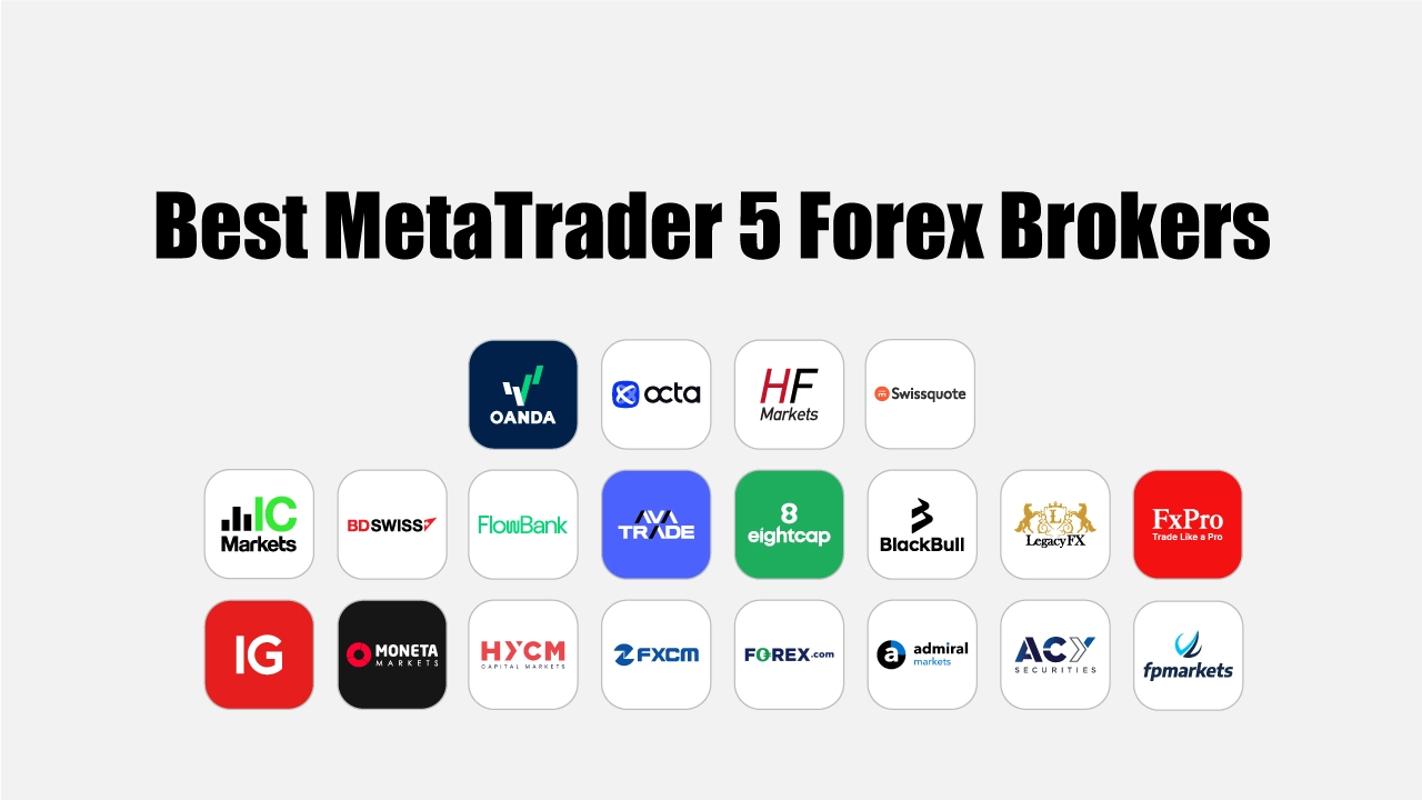 Best MetaTrader 5 (MT5) Brokers for 2024