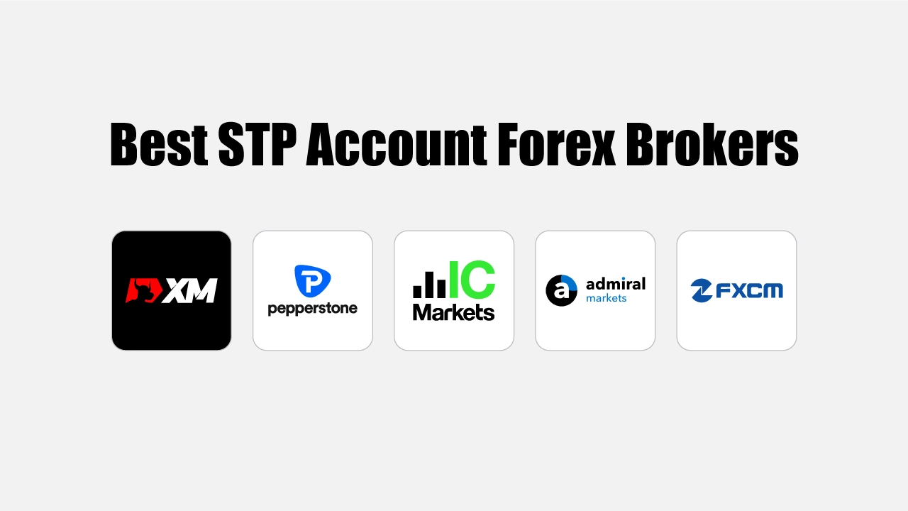 Best STP Account Forex Brokers for 2024: An In-Depth Review