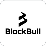 BlackBull Markets Review 2024